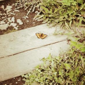 ����: �������� �����