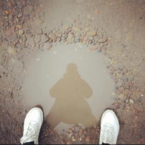 ����: ���������