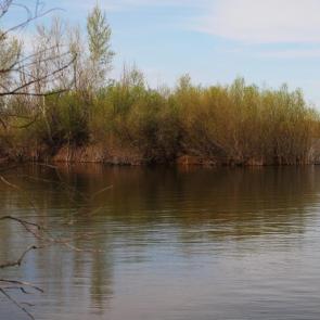 ����: �� ��������� ������������ ������� 