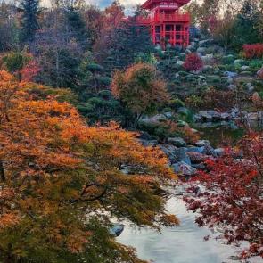 ���� ��������: �� ������