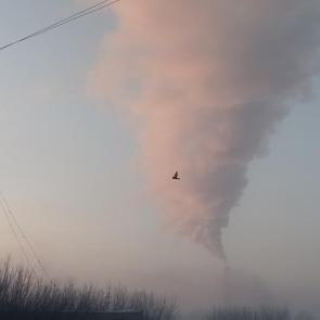 ���� ��������: ��������� ������ 