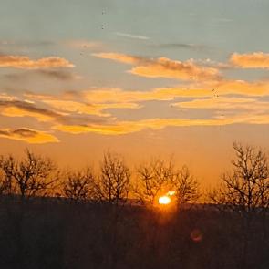 ����: �����