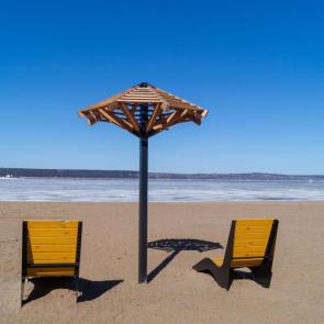 ����: ������