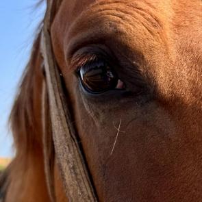 ����: ��� � ����� �������