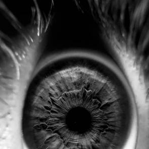 ����: ������� ������