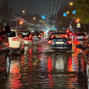 ����: ������ �����