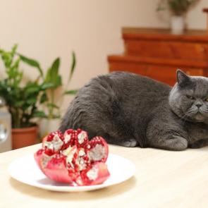 ����: � �� �����, � ��� �� ��