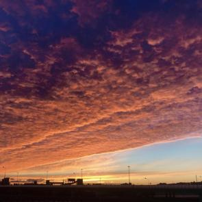 ���� ��������: ������� 