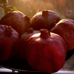 ����: �������