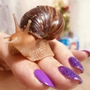 ����: �������� 