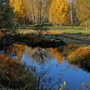 ����: ������� ������