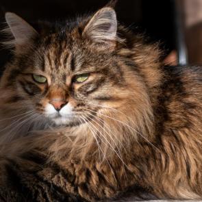 ����: � ���� �� ���������.