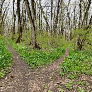 ����: ��� ������, ��� ����