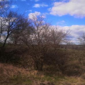 ����: �����, ����, ������