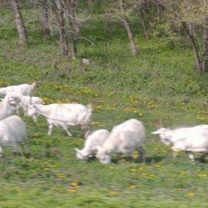 ����: �� ������