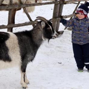 ���� ��������: � �����