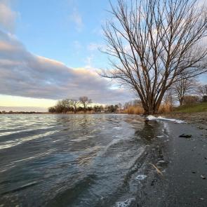 ����: ����-����������� � �����...