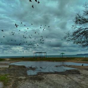 ����: ����������� ��������