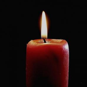 ����: ����� ������