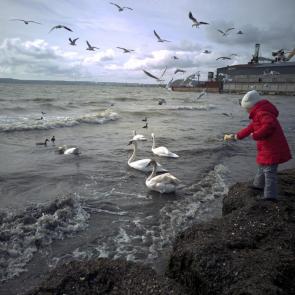 ����: ������