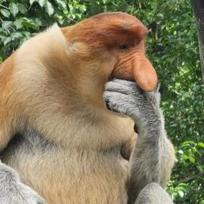 ����: ����� ���� ���������