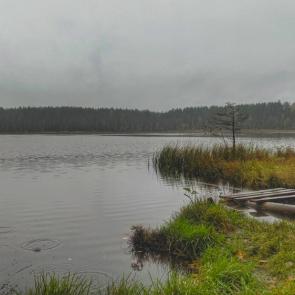 ����: ������ � ���������....