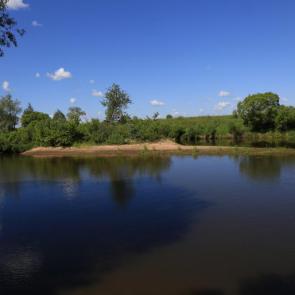 ����: ������