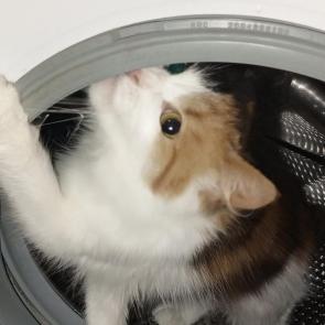 ����: 
