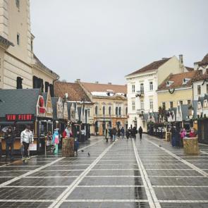 ����: ������