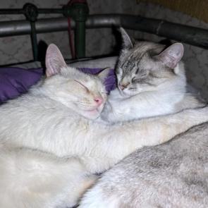 ����: ������ ����� 