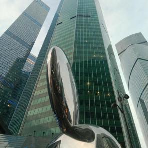 �������� �����������