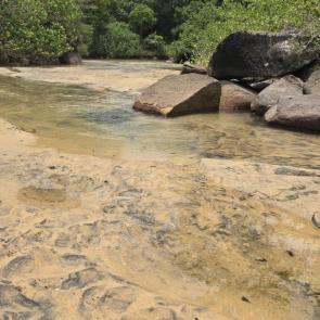 �������� ��������� ����������