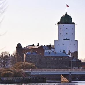 ����: ������