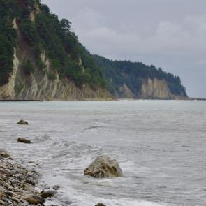 ����: ����� ����