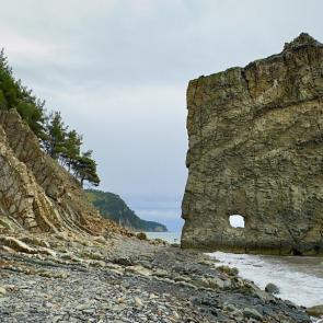 ����: �����