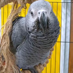 ����� � ������