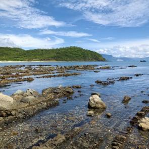 ����: ���������� �����