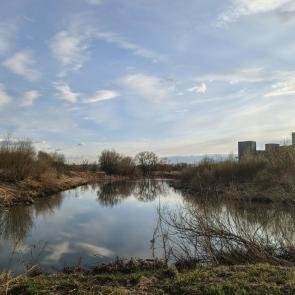 ����: ������� ����