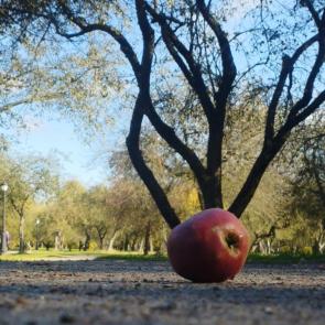 ������ �� ����������