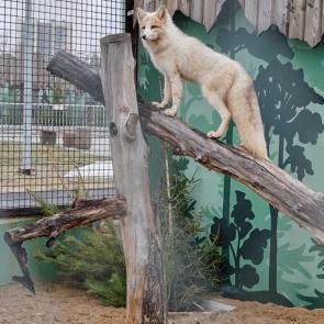 ��� ������������ ��������