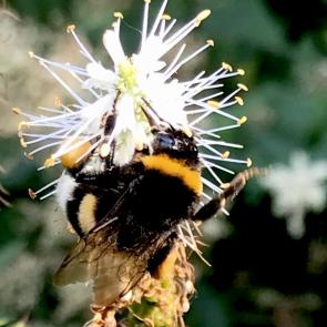 ���������� ��������