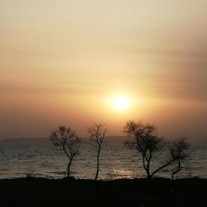 ����: �����