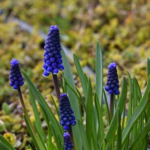 ����: Ҹ���� �������� ���� 