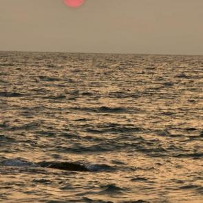 ������������ �����