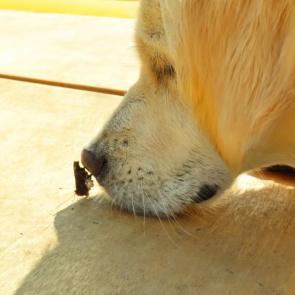 ���� ��������: ��������� ��������� ����