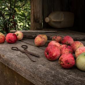 ���������� ����������