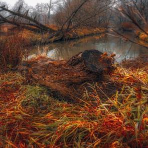 ����: ����.