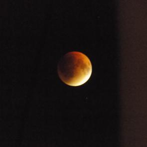 ������������ �����