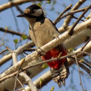 ����� � ������