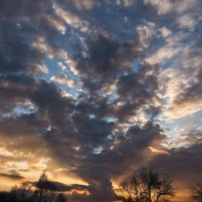 ����: �������� ����